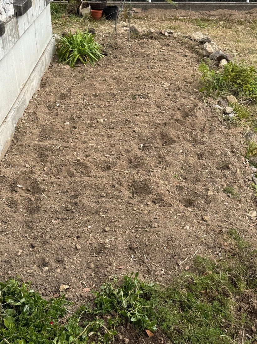 草を引いた花壇